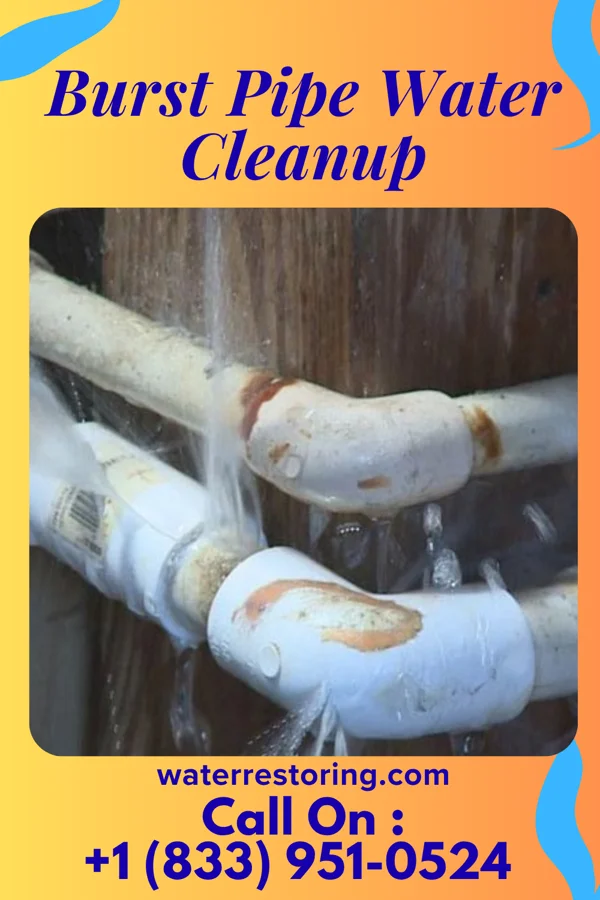 Burst Pipe Water Cleanup in Knollwood, IL