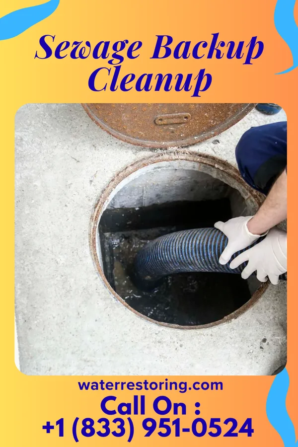 Sewage Backup Cleanup in Knollwood, IL